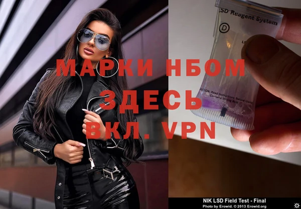 индика Алзамай