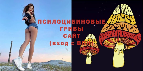 индика Алзамай