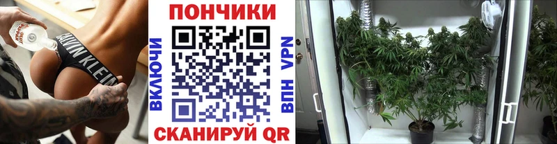 закладка  Динская  Конопля LSD WEED 